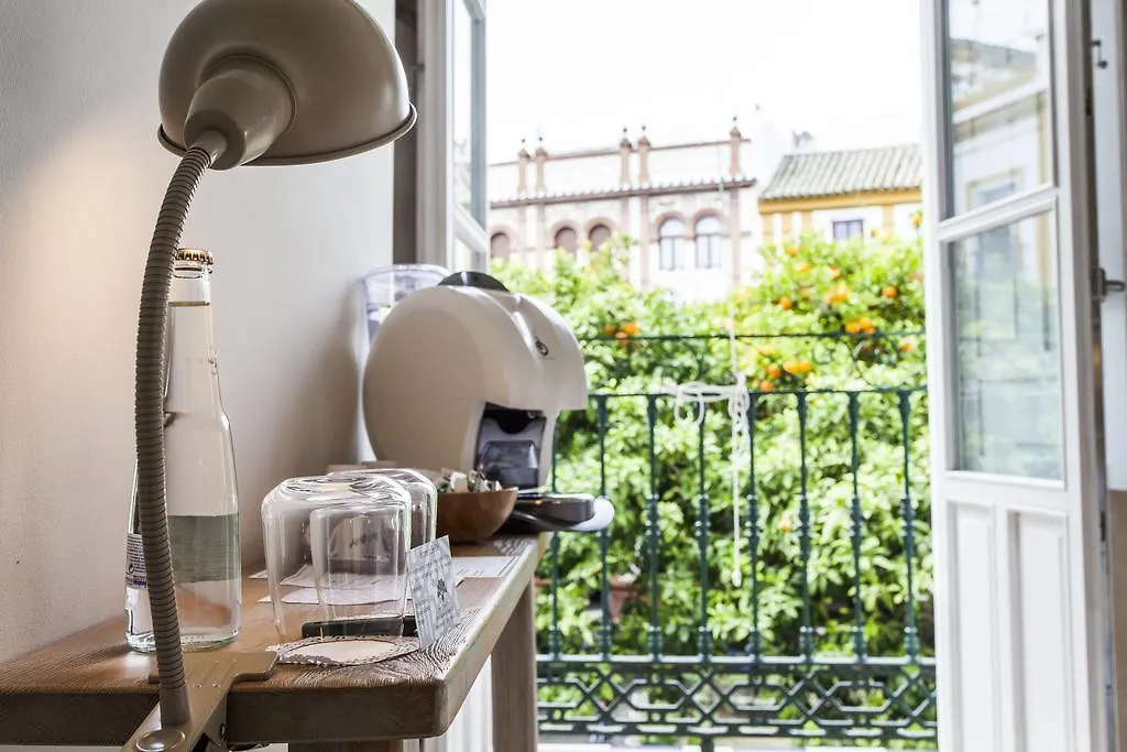 Hotel Boutique Elvira Plaza Seville